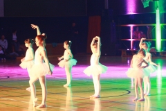 IMG_7842 (2)