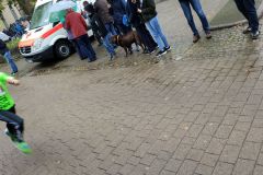 1_IMG_20191003_135843