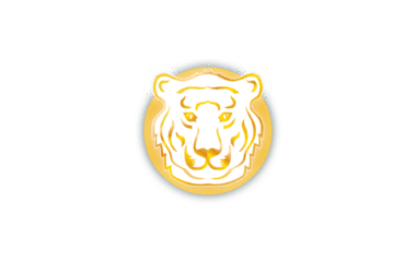 Tiger Moves Faszientraining