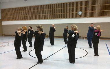 Qigong (Hui Chun Gong)