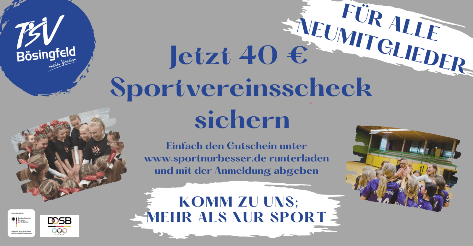 Sportvereinsscheck