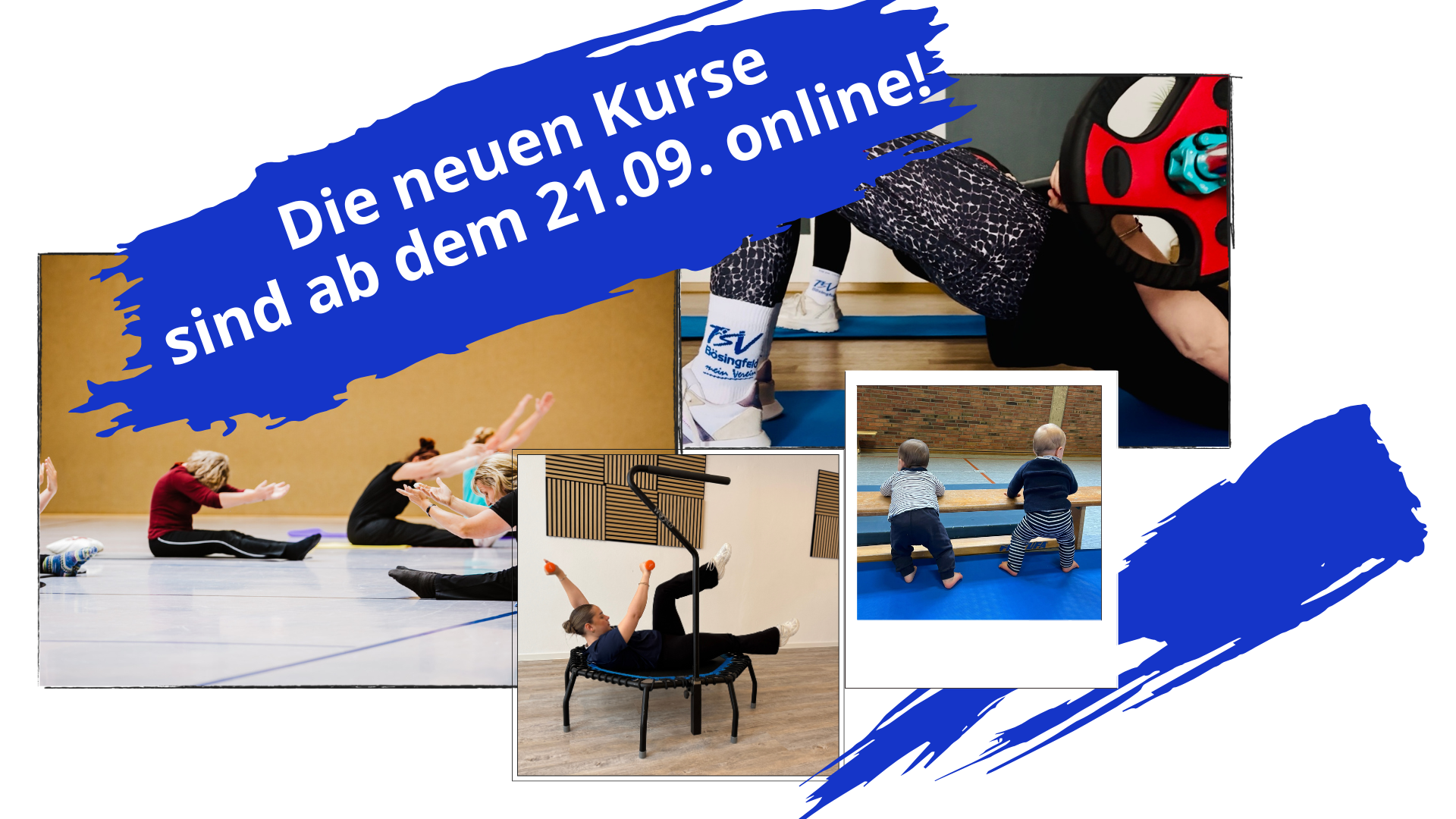 Neue Kurse 2026
